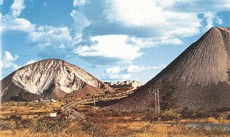 兹维沙瓦内天气预报