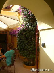 提兹尼特天气预报