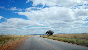 奇诺伊天气预报