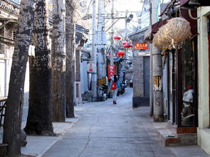 北京天气预报