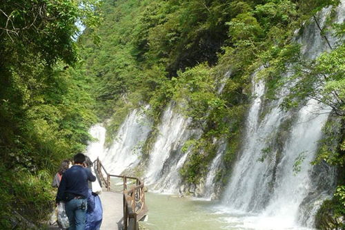 株洲天气预报