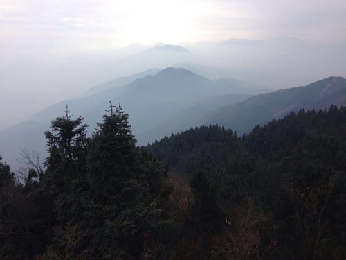 武冈天气预报