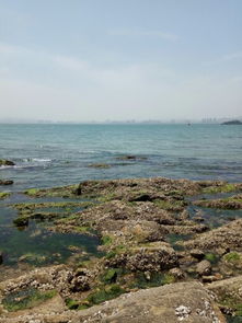 威海天气预报