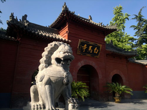 洛阳天气预报