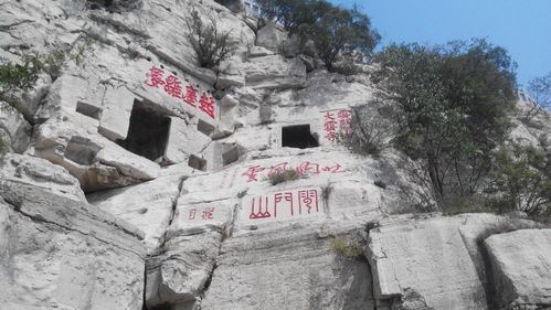 青州天气预报