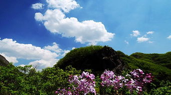荣成天气预报