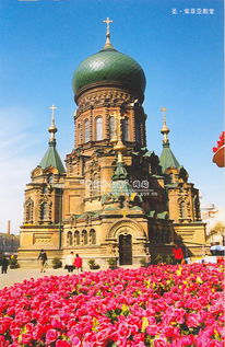 哈尔滨天气预报