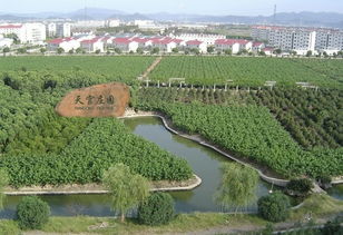 宁波天气预报