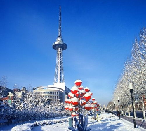 哈尔滨天气预报