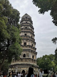 苏州天气预报