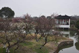 苏州天气预报