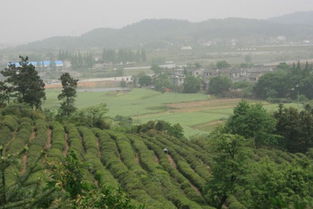 马鞍山天气预报