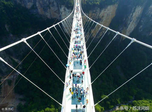 桂林天气预报