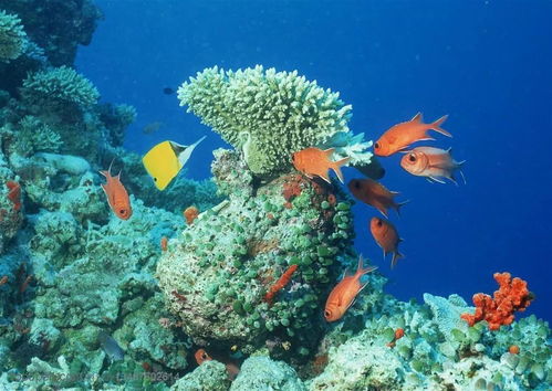 北海天气预报