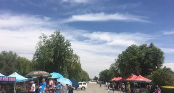 嘉峪关天气预报