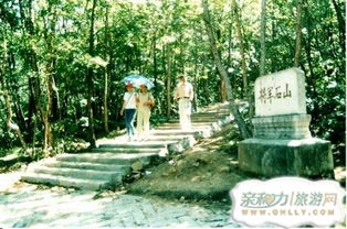 鹤岗天气预报
