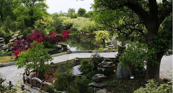 景德镇天气预报